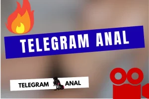 Lire la suite à propos de l’article Telegram Plug Anal